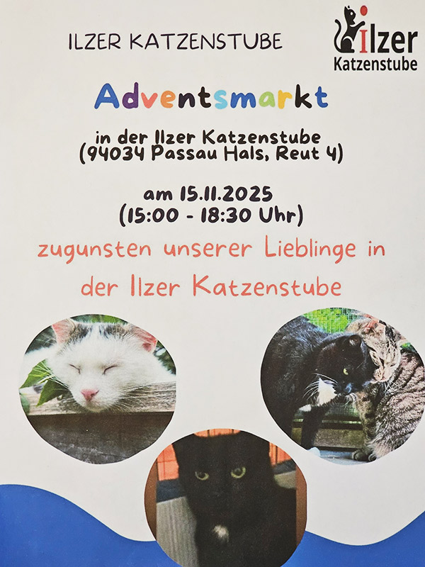 Adventsmarkt Flyer