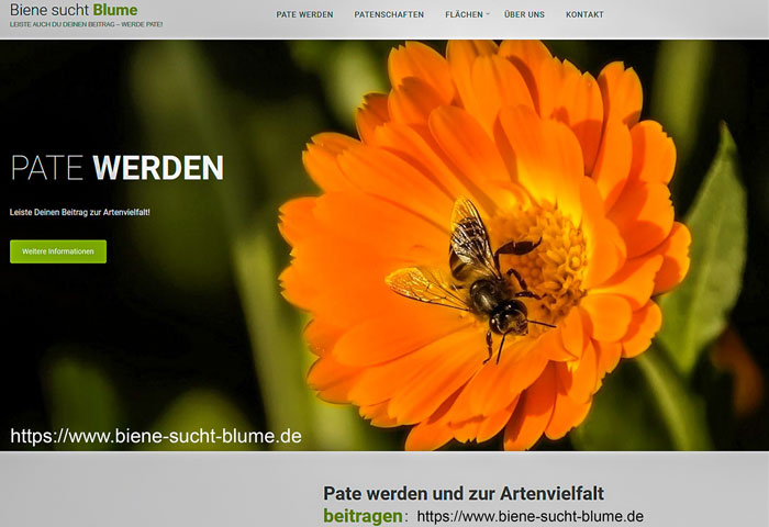 Biene sucht Blume