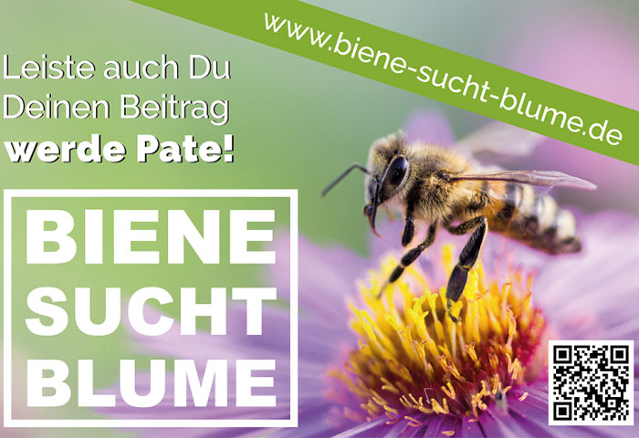 Biene sucht Blume